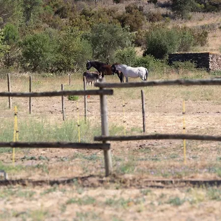 Casa Rural Molí Roquer Venkovský dům Rabos
